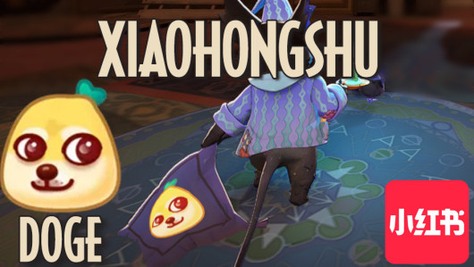 Xiaohongshu (RedNote) Doge | Rem Pillow Image