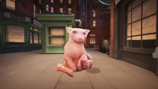 Bingoid