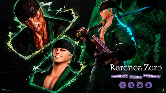 roronoa zoro is lost again