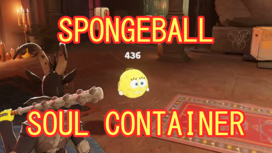 sponge