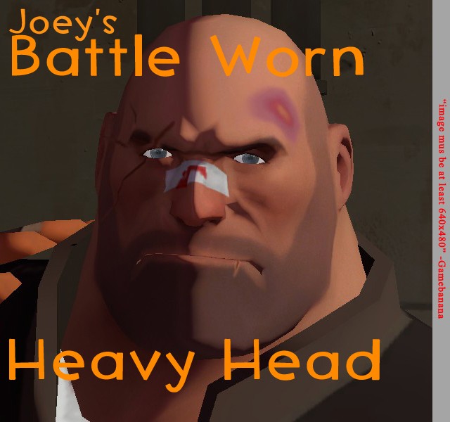 Joey's Battle Worn Heavy Head