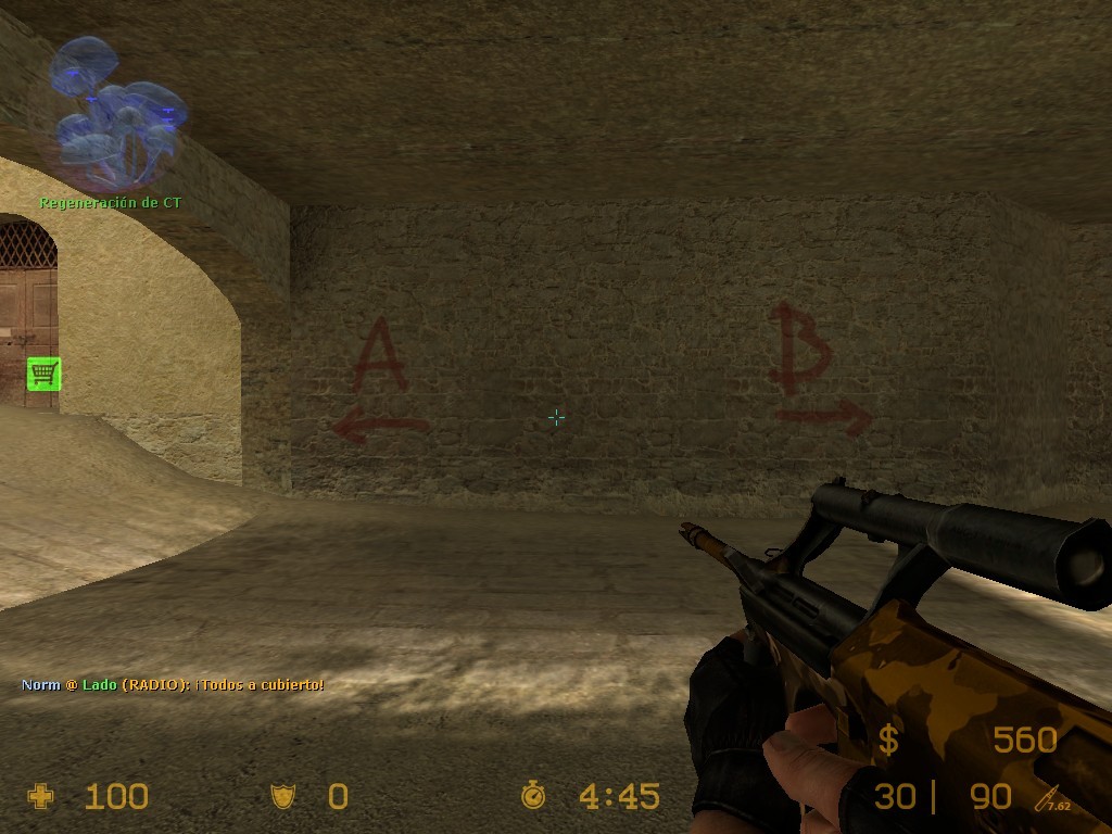 Old Camo Aug