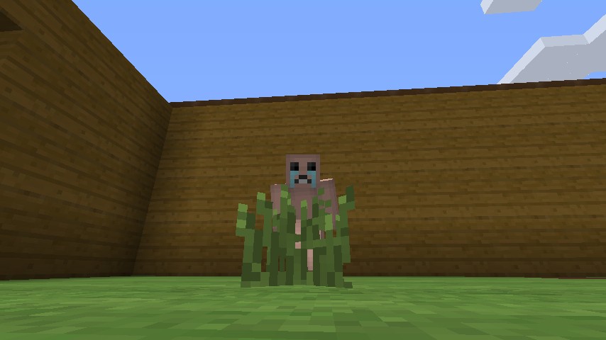 Issac Mod for Minecraft: Java Edition | MC Mods