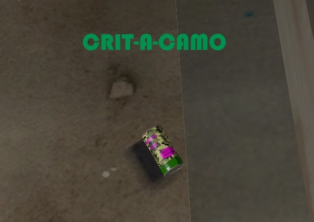 Crit-a-camo