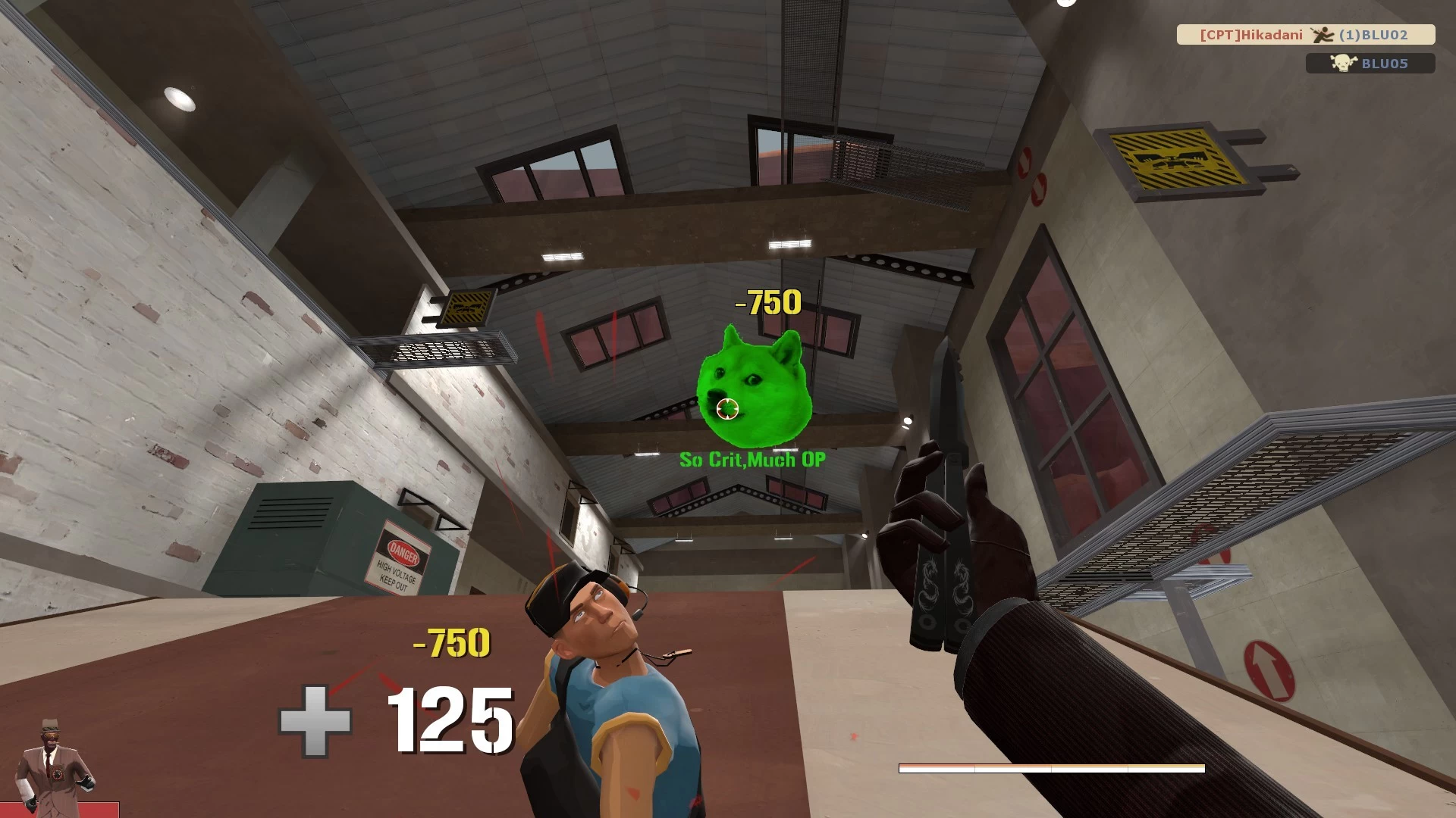Doge Crits