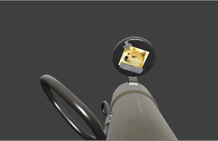Hunting For Doge