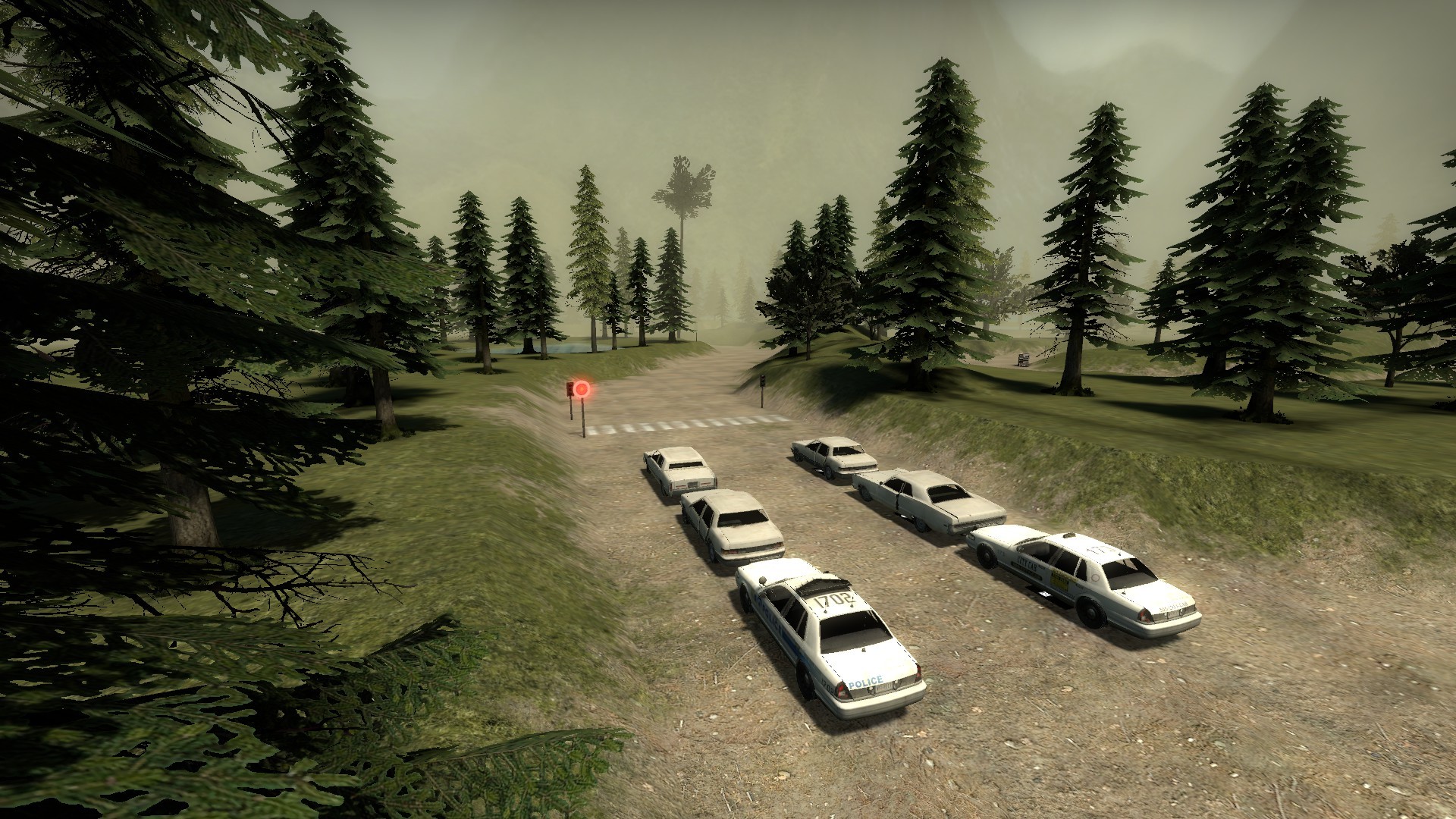 Race_Forest