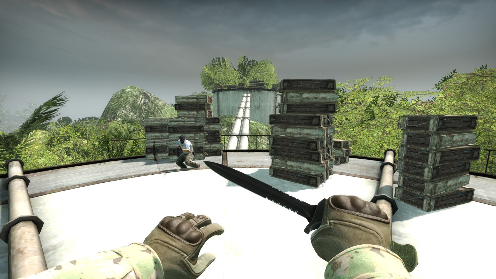 am_tropic