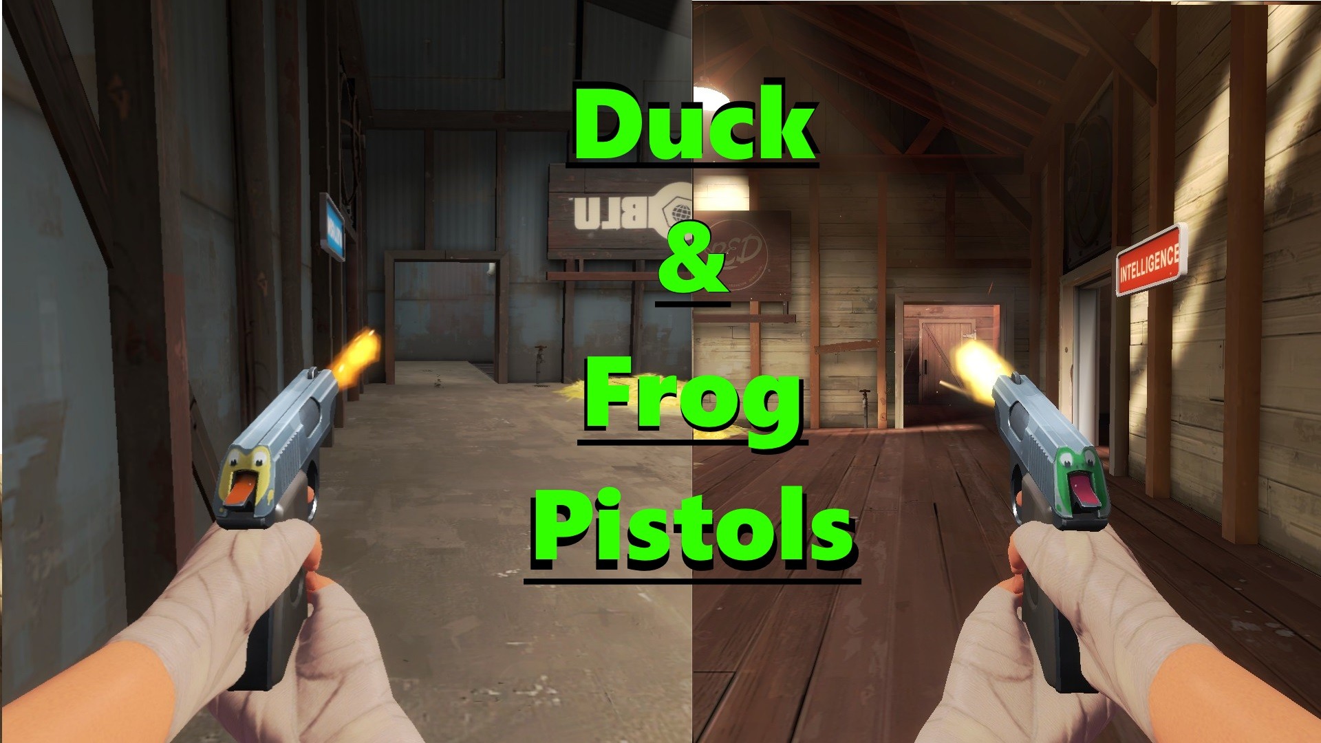 Duck & Frog Pistols