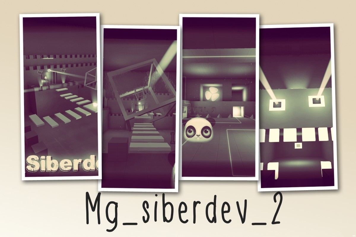 mg_siberdev_2
