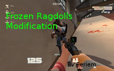 Frozen Ragdolls