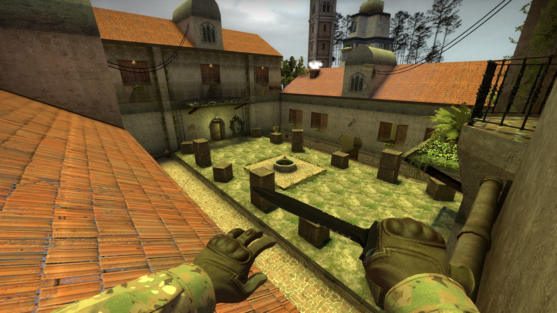 aim_sunnyday