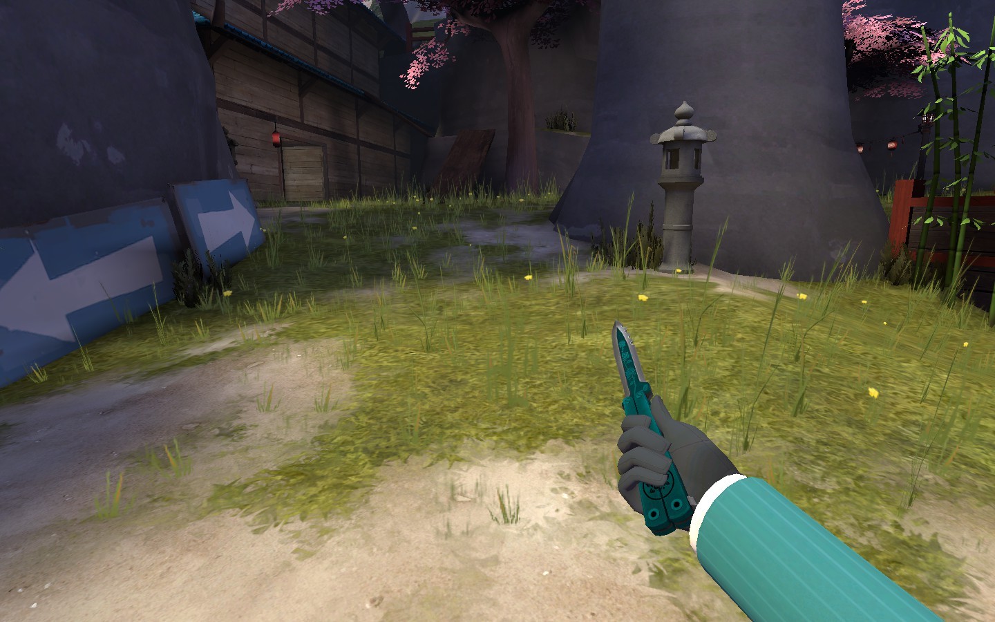 Spy Skin