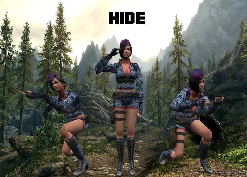 Hidden strike. Девушка спецназ КС. Hide CS 1.6. Witcher Пронина для контр страйк. Hide Skin.