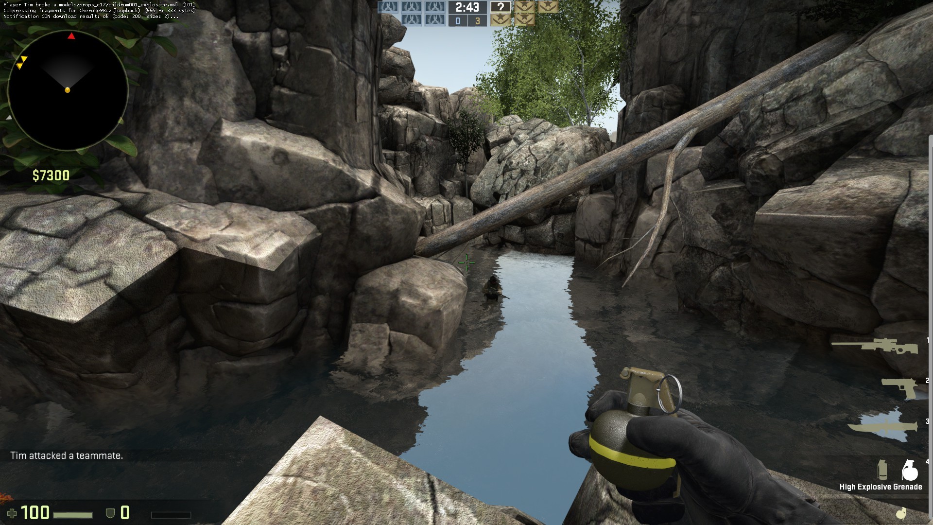 awp_turzo_jungle