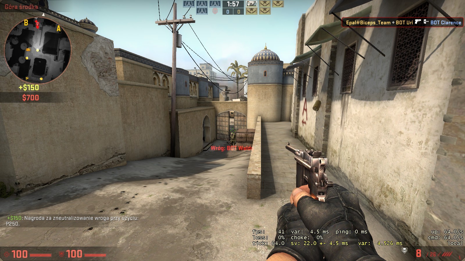 Mauser C96 for cs go