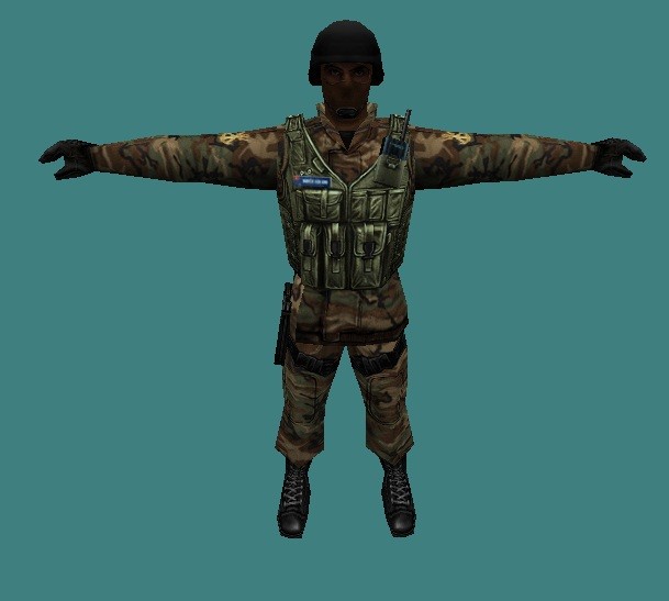 Look Before Submitting