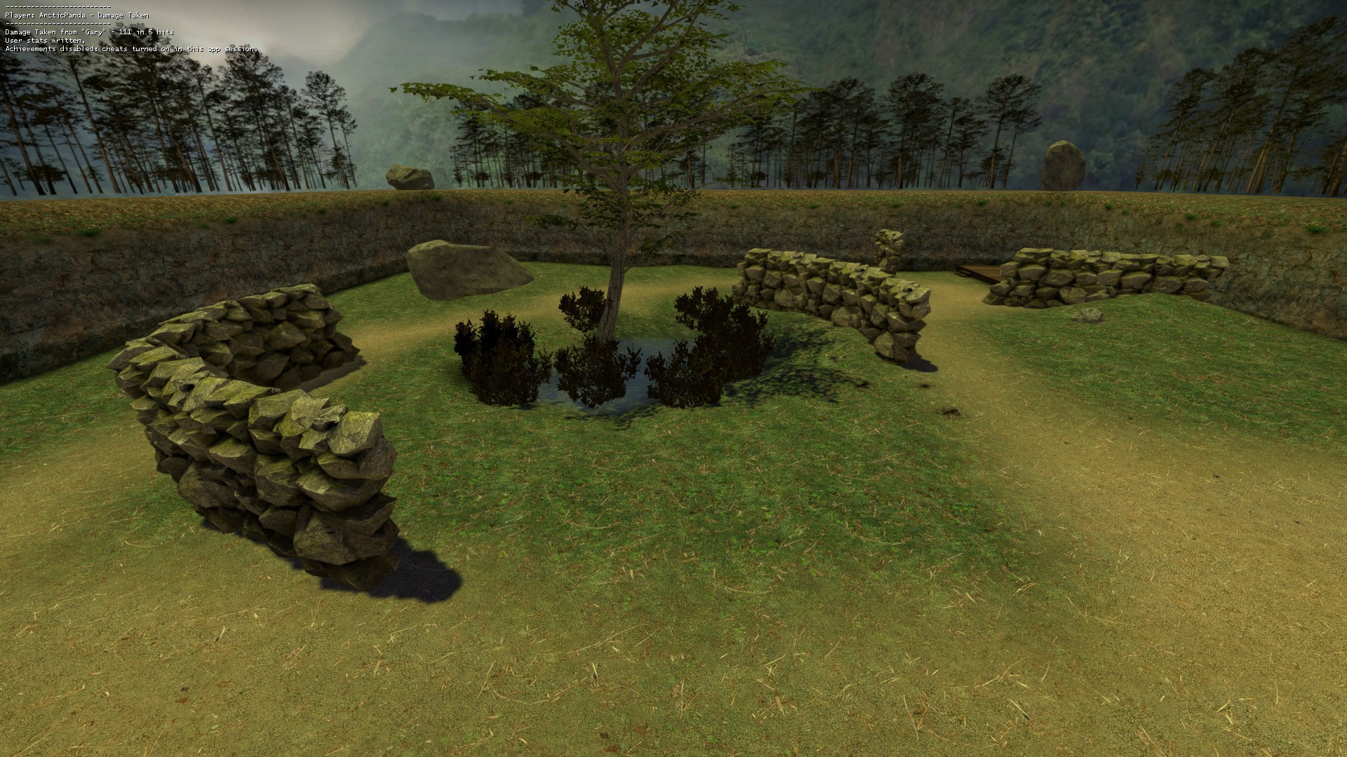 1v1_forest