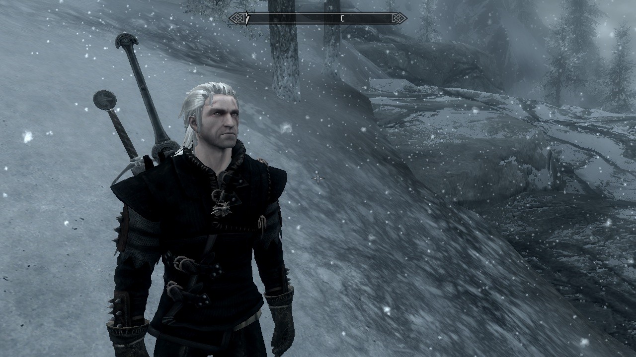 5 best Witcher mods for The Elder Scrolls V: Skyrim