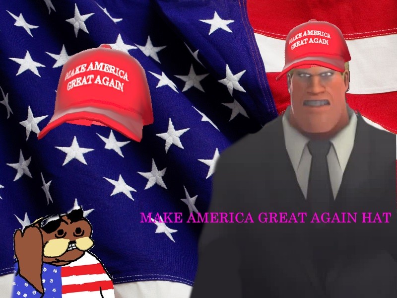 Make America Great Again Hat