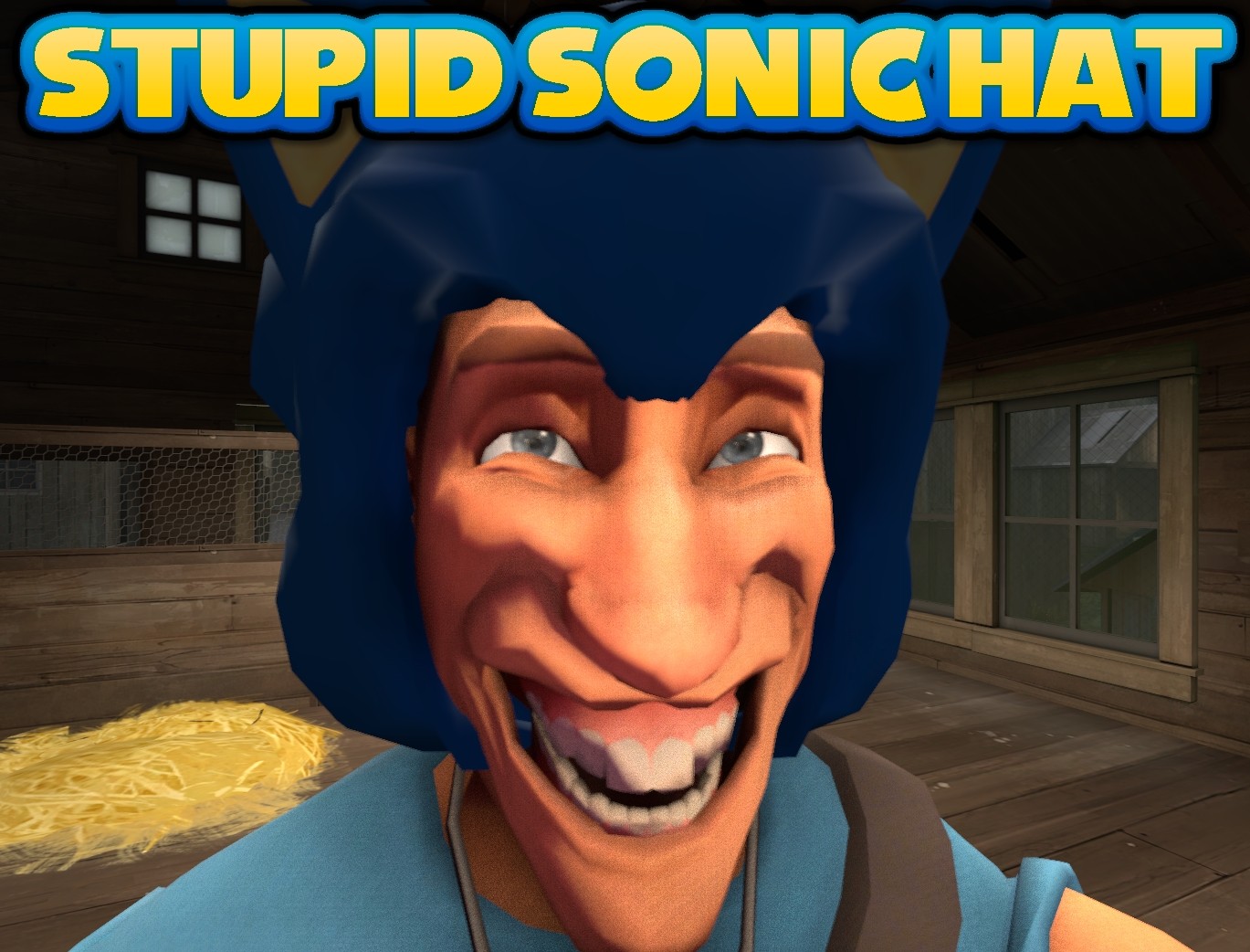 Stupid Sonic Hat