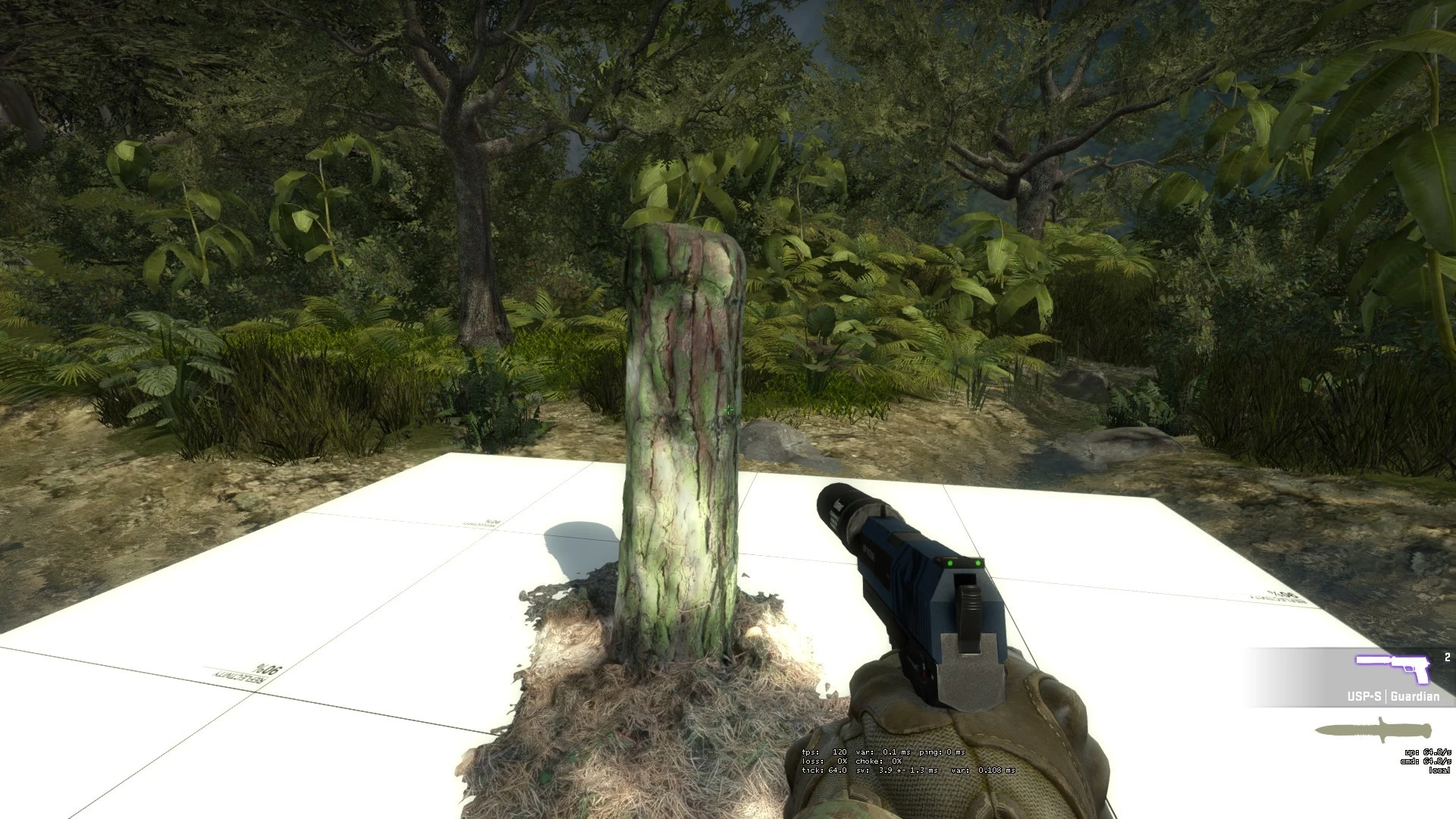 SOURCE MODEL: tree_stump_boreal