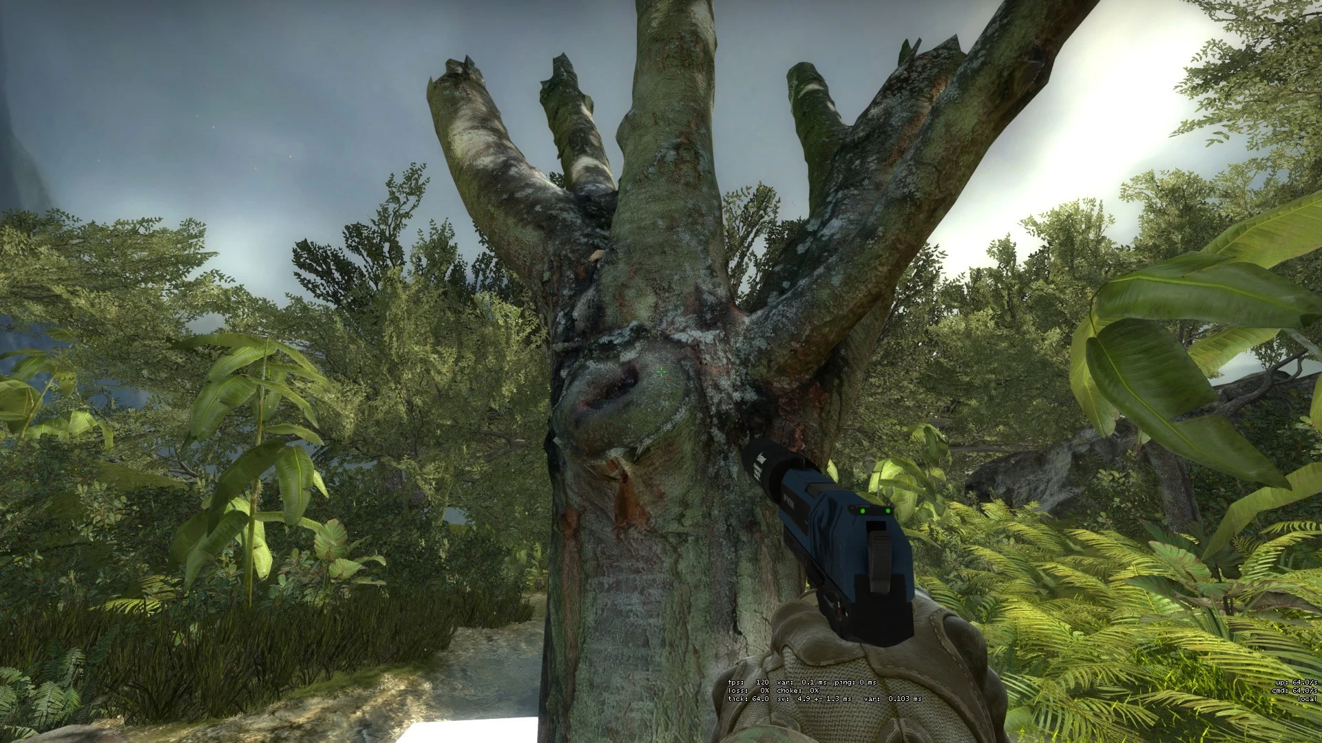 SOURCE MODEL: tree_stump_boreal_2
