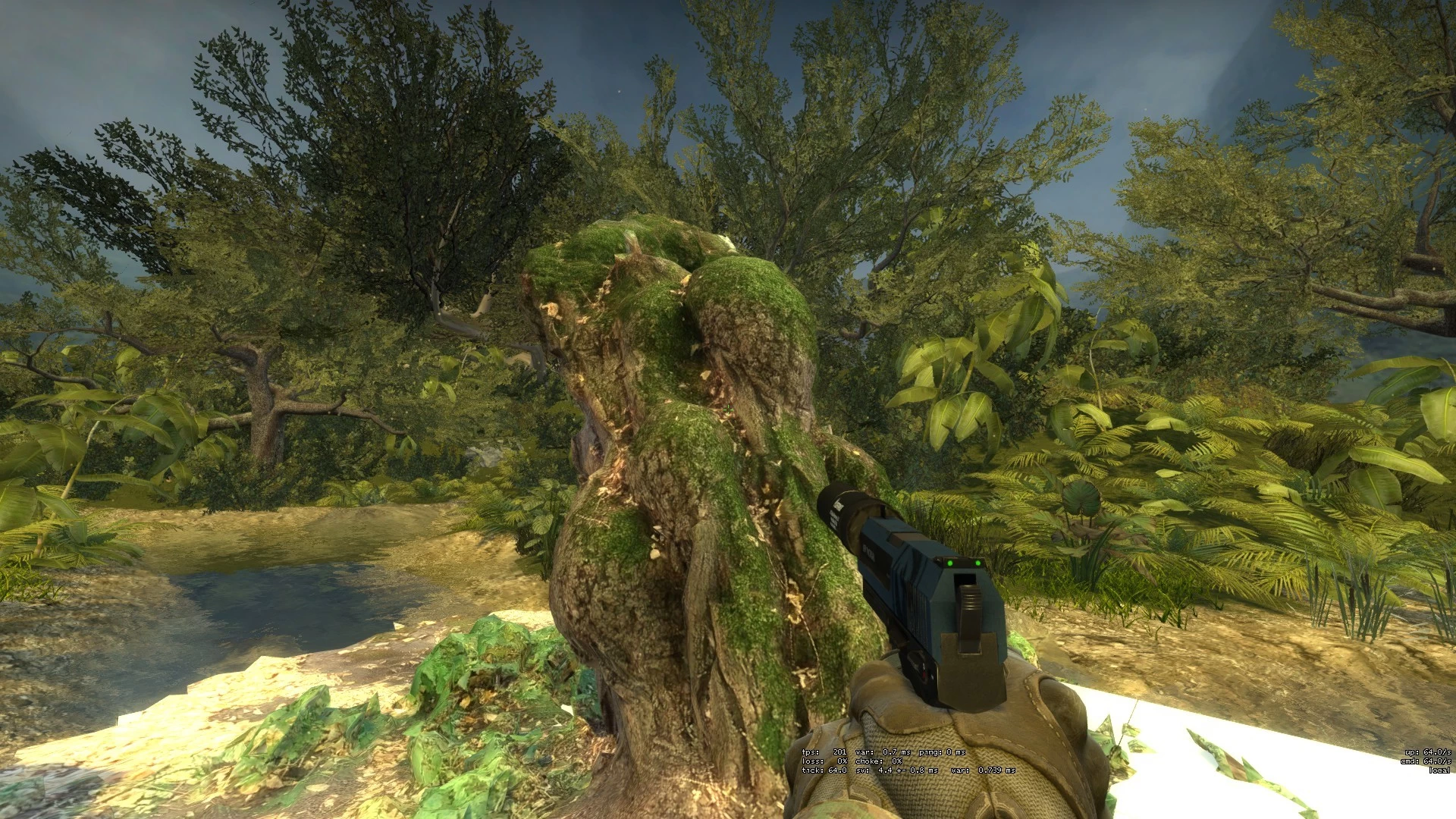SOURCE MODEL: tree_stump_boreal_3