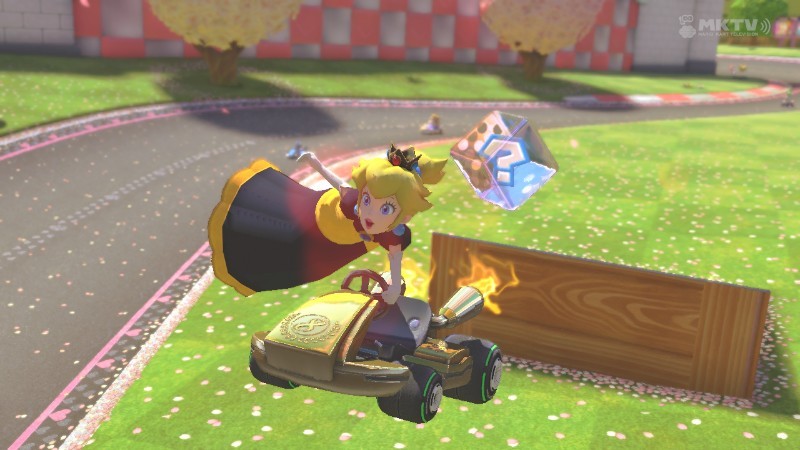 Black & Yellow Peach