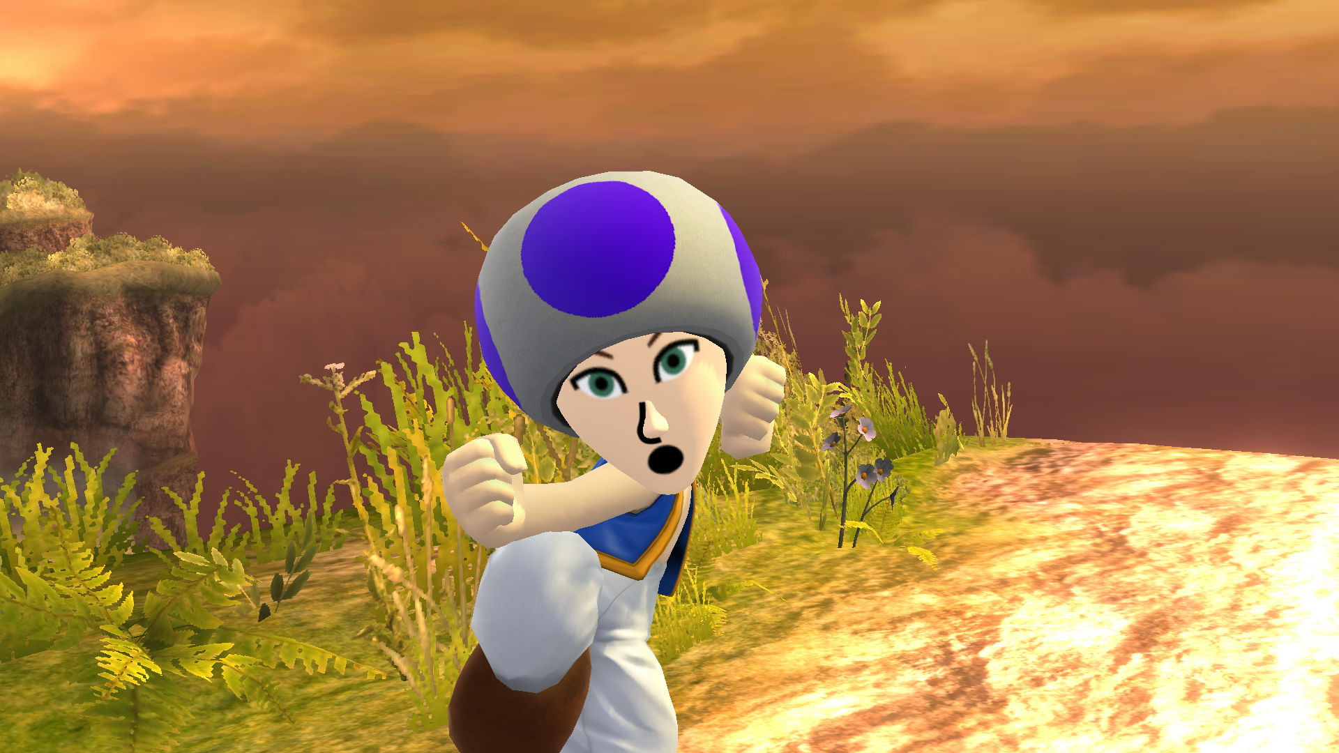 Additional Toad Mii Hat Colors Super Smash Bros Wii U Mods 5100