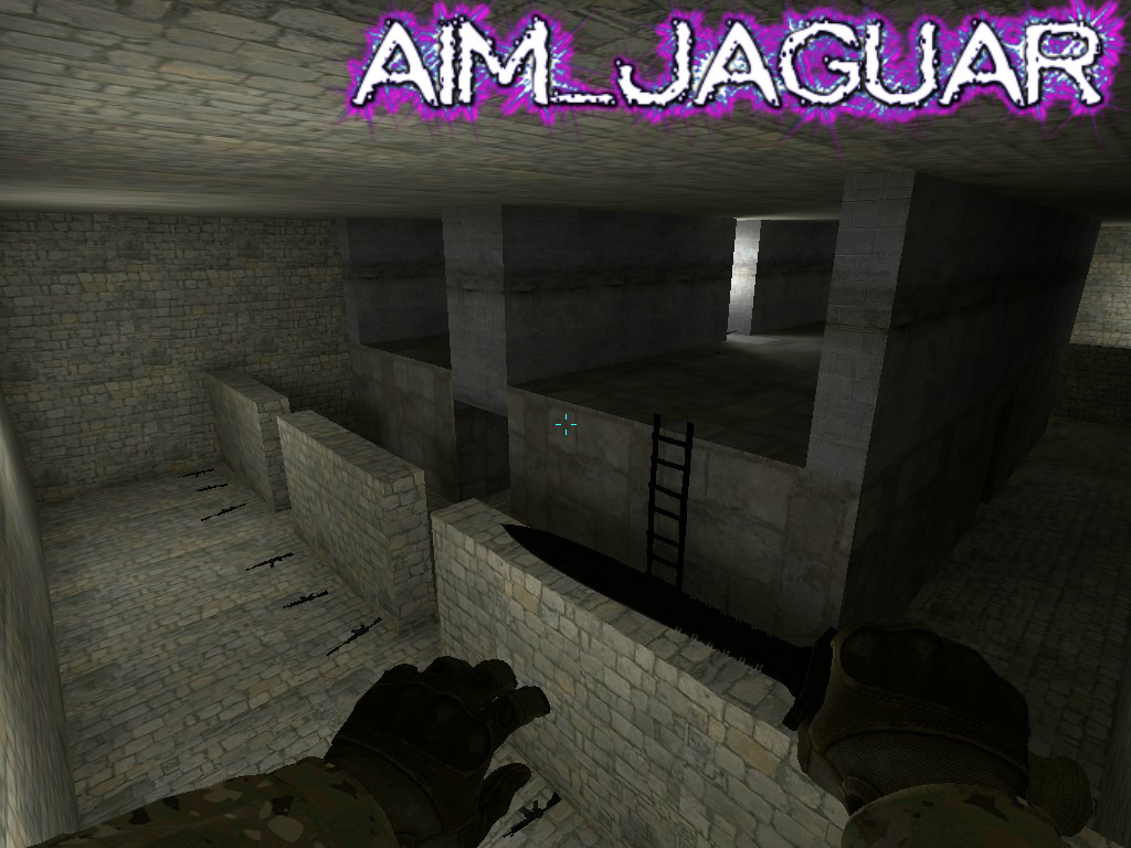 aim_jaguar