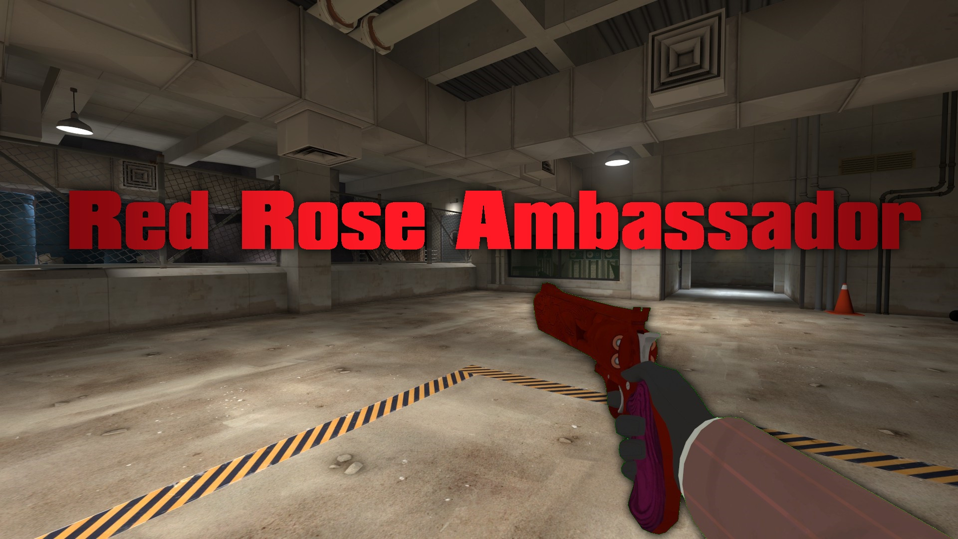 Red Rose Ambassador