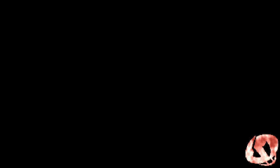 Team Skull Loading icon