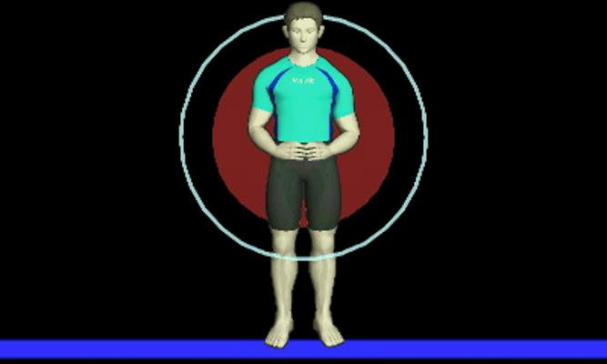 Blueberry Wii Fit Trainer (Gray Hair)