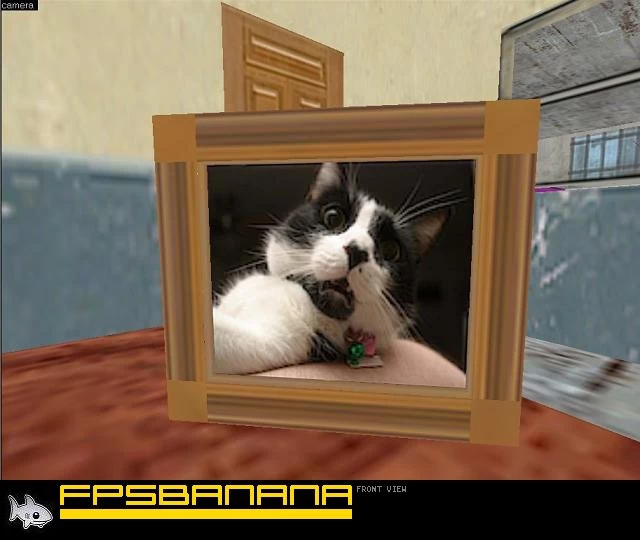 Cat Photo (with frame)