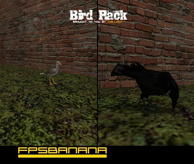 Bird_Pack