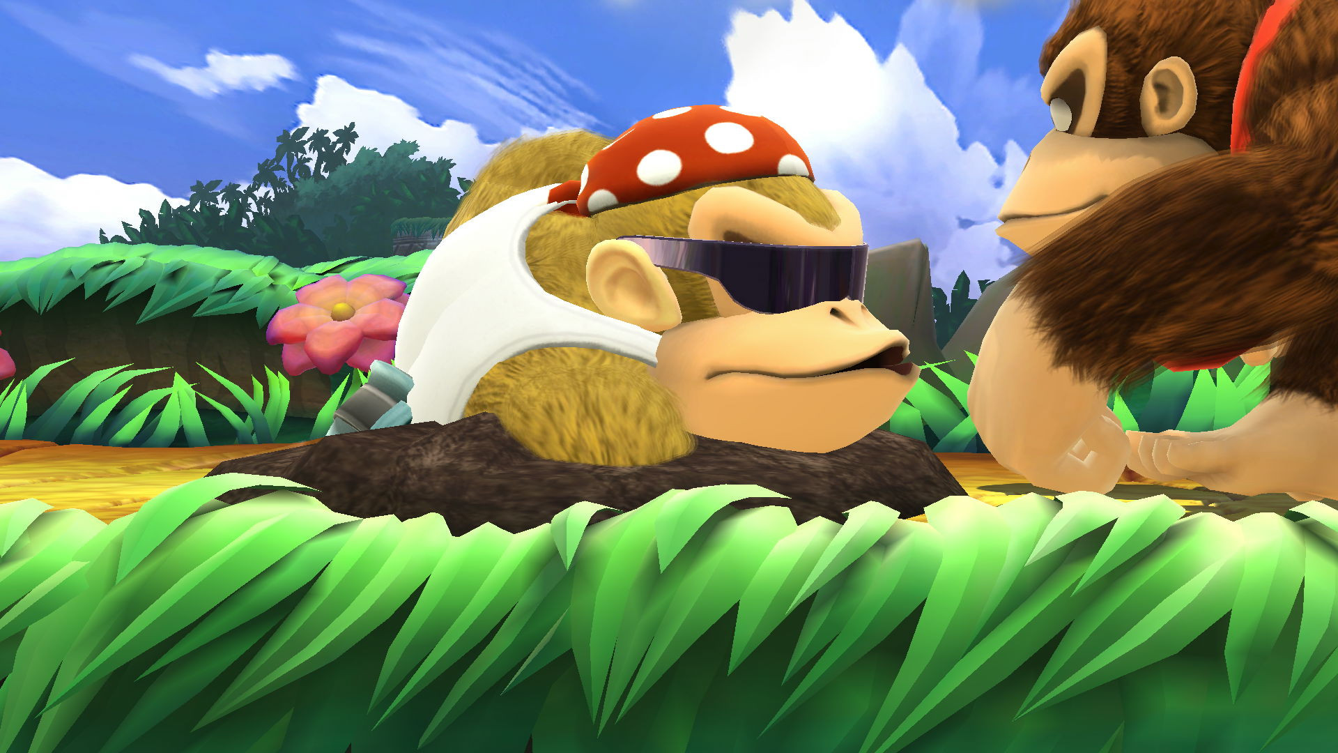 Funky Kong (v1.1) [Super Smash Bros. (Wii U)] [Mods]