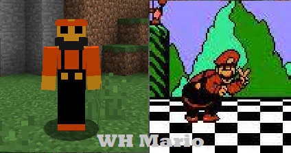 World Heroes Mario Mod for Minecraft: Java Edition | MC Mods