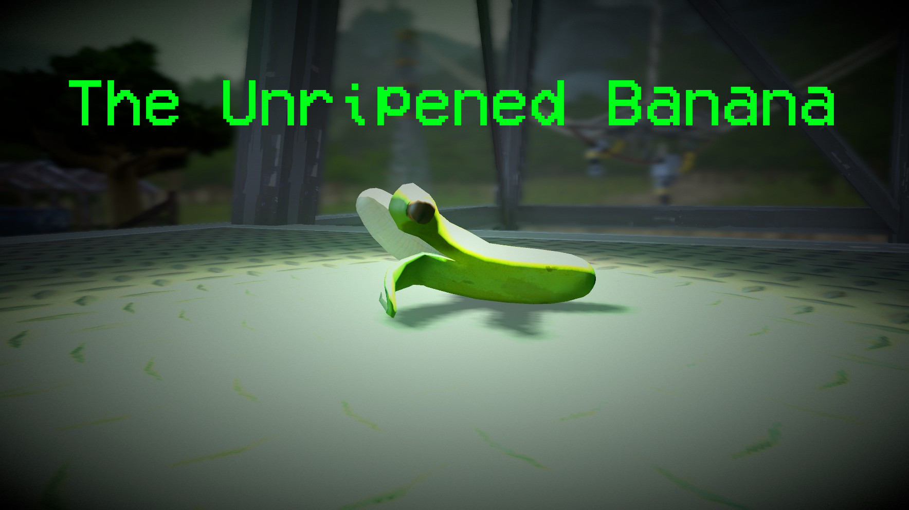The Unripened Banana