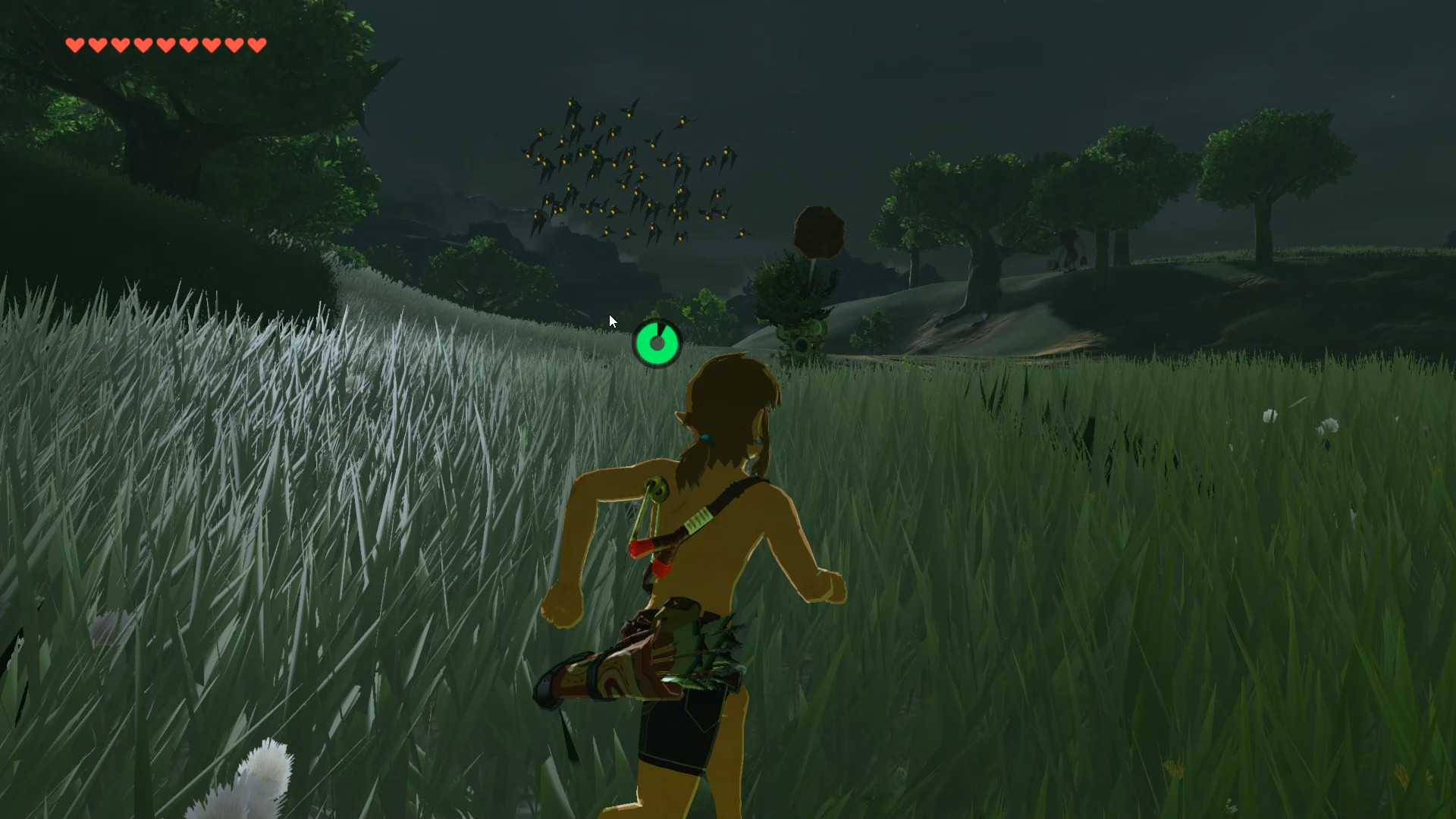 Slingshot [Ocarina of Time] [The Legend of Zelda Breath of the Wild