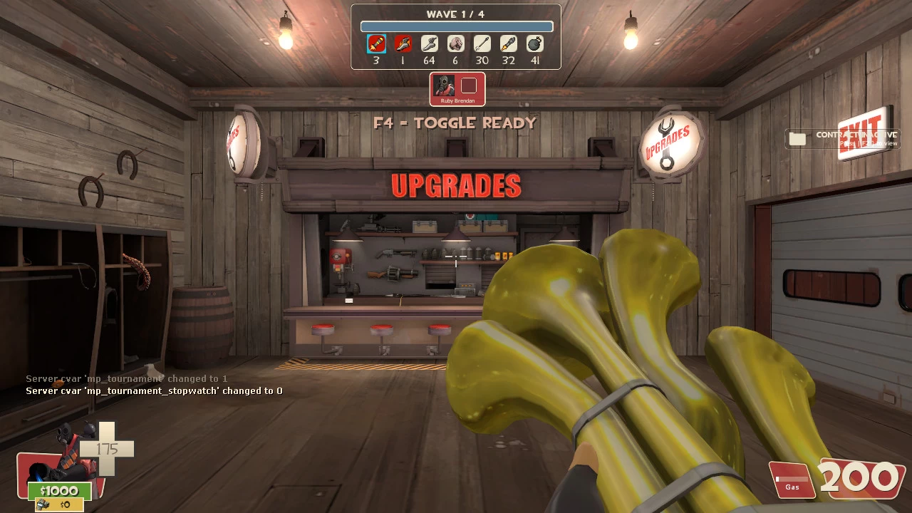 Decoy Custom Mission (Advanced Endurance)