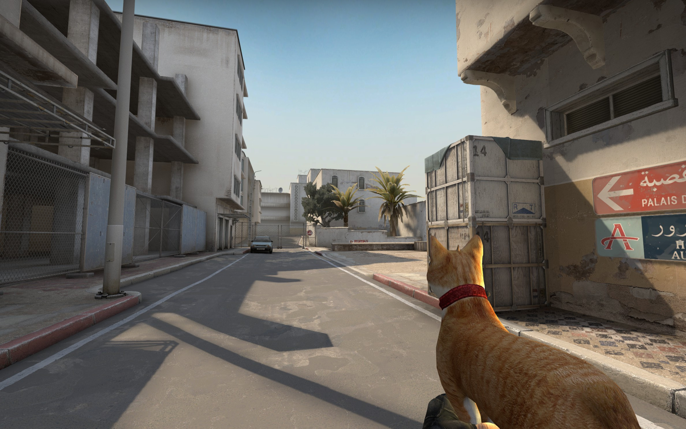 Cat Gun (SF2) + How to install [Counter-Strike: Global Offensive] [Mods]