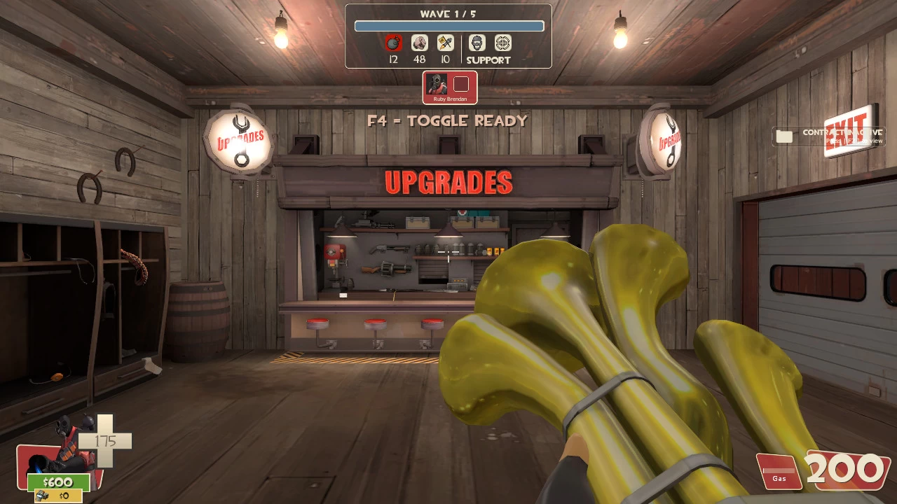 Decoy Custom Mission (Super Expert)