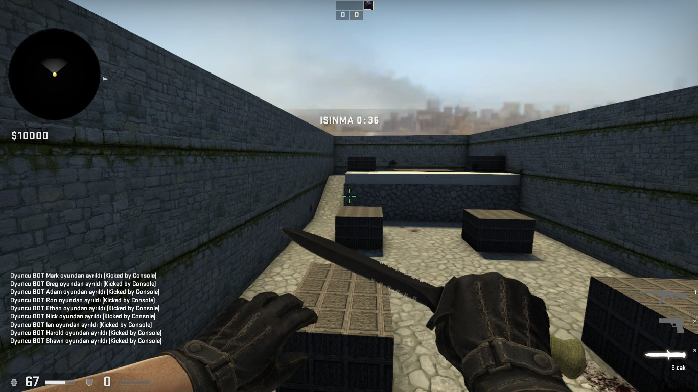 aim_strike