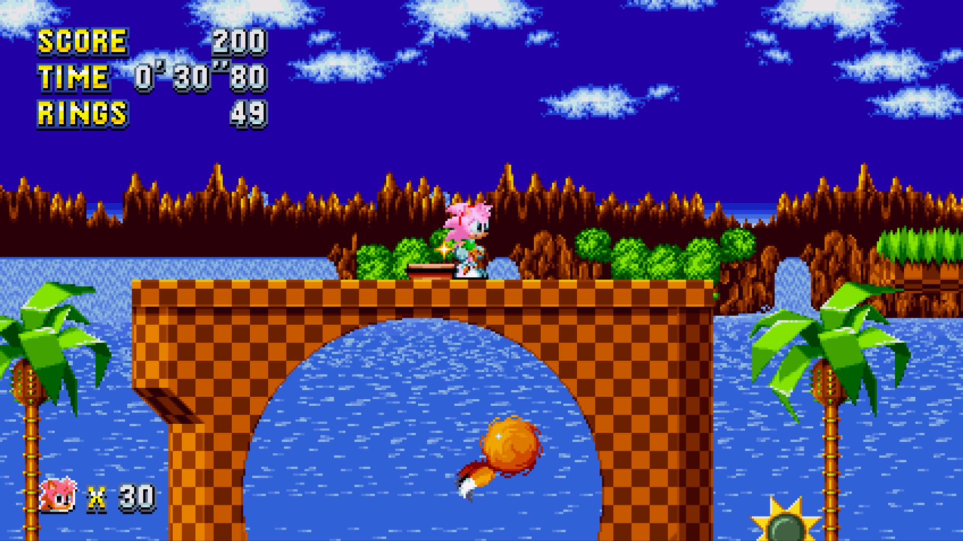 Amy Rose For Plus V1.1 [Sonic Mania] [Mods]