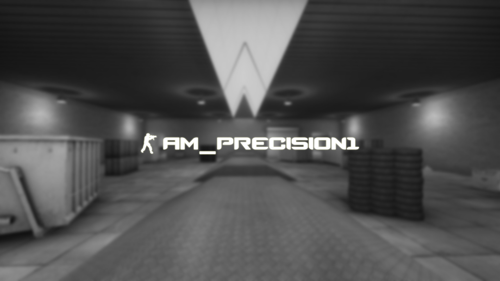 am_precision1