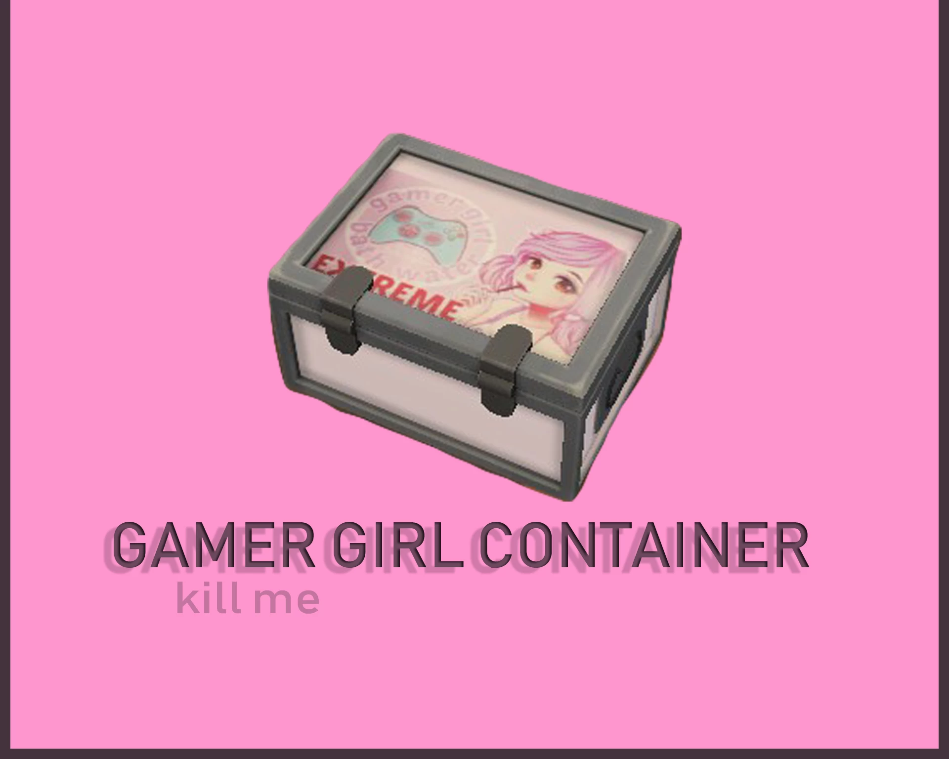 Gamer Girl Containter