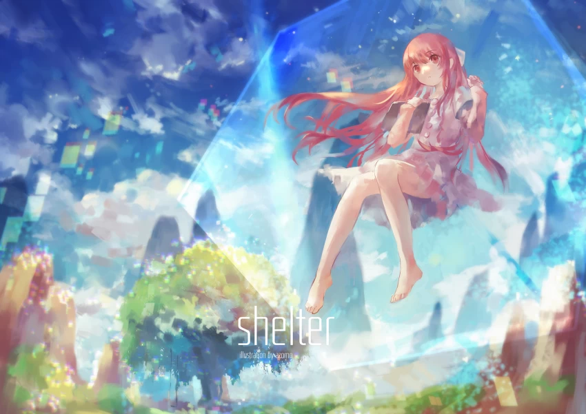 Shelter Intro