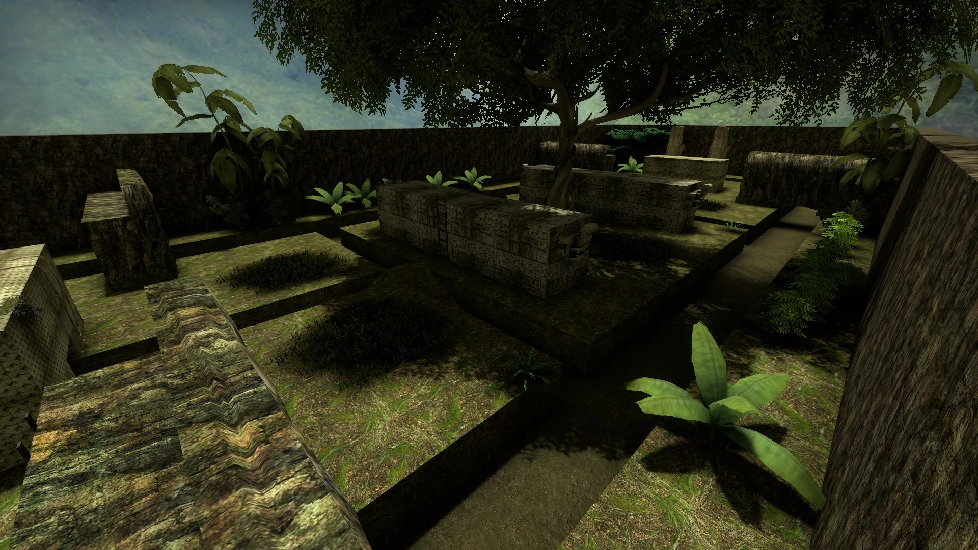 am_jungle [AIM]