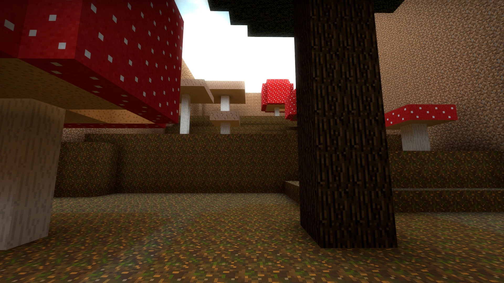 jb_moti2_final2